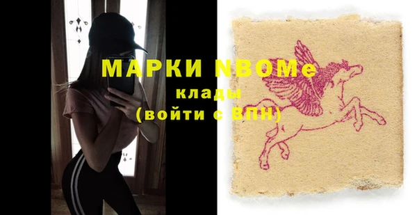 мдпв Верхний Тагил
