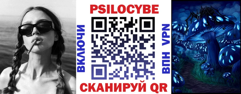 где купить наркоту  Каменск-Уральский  Галлюциногенные грибы Psilocybine cubensis 